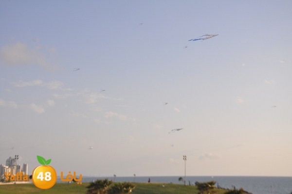 tayarat waraq (23).JPG